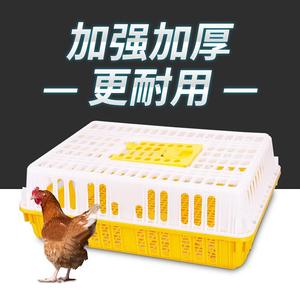 鸡用周转箱运输鸡笼加强型特大成鸡鸭鹅鸽兔运输笼筐成鸡笼塑料