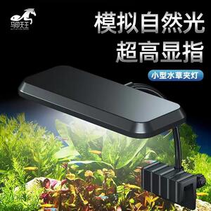 水族夹灯LED灯增艳灯珠鱼缸小型水草夹灯养鱼爱好者