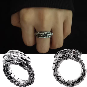 钛钢生肖龙戒指男士潮不掉色自律指环女食指环小众设计复古单身戒