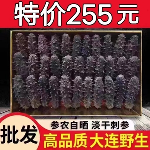 大连野生海参干货500克辽参刺参淡干非即食海渗礼盒送礼50g顺丰邮