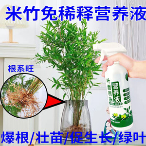 花草营养液通用米竹营养液竹子凤尾竹植物肥料水培叶面喷施叶绿素