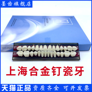 牙科上海合金钉瓷牙合成树脂牙 树脂牙尚齿 瓷牙 全口义齿