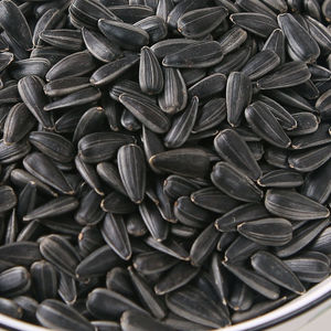 内蒙古黑珍珠油葵小瓜子1斤装五香原味油葵现炒新货生油葵炒货