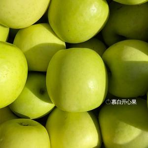 陕西白水新品种正宗瑞雪苹果脆甜多汁 新鲜青苹果