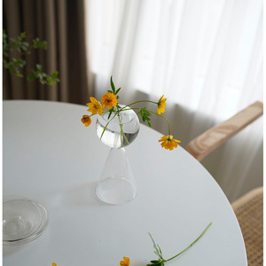 玻璃铜钱草水培瓶子创意花盆插花瓶干花装饰透明花器异性玻璃花瓶