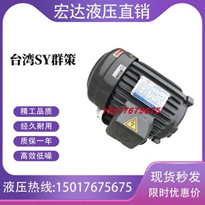 SY台湾群策C01/02/03/05/7B/10-43BO油泵电机0.75kw 1.5kw 2.25kw
