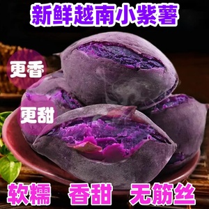 正宗越南小紫薯珍珠板栗紫薯精品新鲜粉糯紫地瓜现挖沙地番薯5斤L