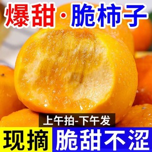 广西恭城脆柿子10斤新鲜当季现摘水果巧克力脆皮硬甜柿子不涩大果
