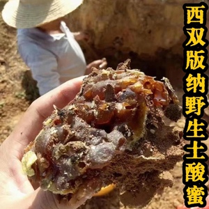 正宗野生土酸蜂蜜原始森林纯正天然酸蜂蜜无刺蜂老巢蜜药花蜜云南