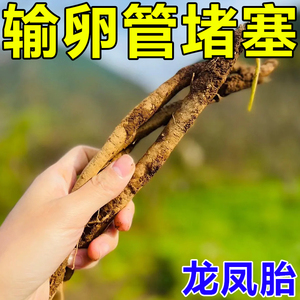 治疗输卵--管堵塞的药通而不畅热敷包宫腔积水粘连促排卵助孕药贴