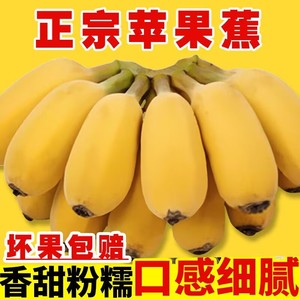 正宗广西苹果蕉粉香蕉新鲜9斤当季整箱水果甜芭蕉圆香焦banana