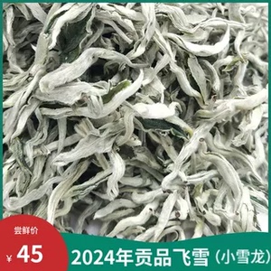 2024年单芽小雪龙高档云南普洱绿茶春尖新茶清香甘甜耐泡罐罐茶叶