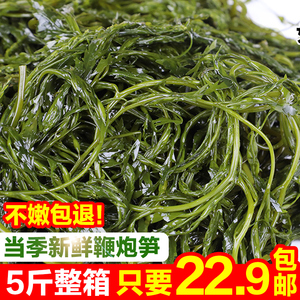 新鲜鞭炮笋盐渍马尾藻海草火锅食材长寿菜羊栖菜海带海藻商用5斤