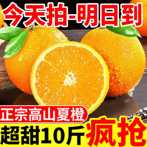 广西夏橙当季桂林鲜橙新鲜10斤时令孕妇水果现摘橙子非秭归伦晚