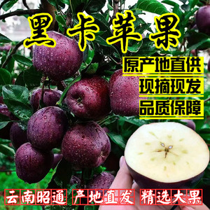 云南昭通黑卡苹果黑钻苹果黑色纯甜苹果新鲜水果当季礼盒整箱大果