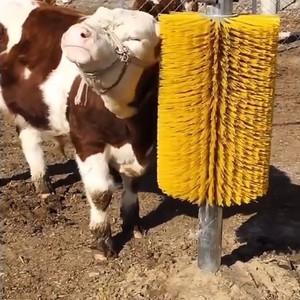 新疆包邮牛体刷蹭痒牛羊挠痒牛电动止痒神器按摩刷家用马牛刷子