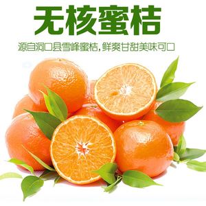 橘子湖南洞口雪峰子10斤应季新鲜水果蜜橘雪峰山特产