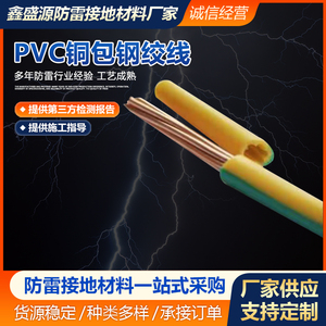 PVC铜包钢绞线水平接地母线PVC多股镀铜钢绞线防雷接地引线定制