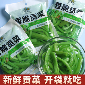 现成鲜香脆贡菜无叶新鲜火锅专用苔干响菜土特产蔬菜非干货贡菜