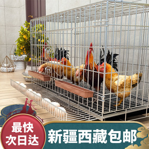 新疆西藏包邮鸡笼子家用养鸡笼大号特大号自动清粪折叠养殖笼鸡舍