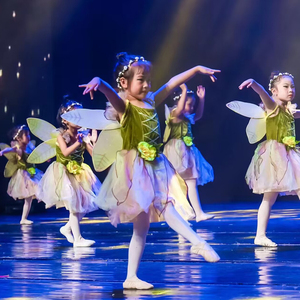 新款儿童蓬蓬纱裙闪亮的星萤火虫儿童演出服小蜜蜂舞蹈蝴蝶表演服
