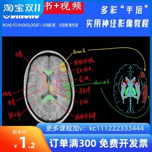 手绘神经影像解剖头颅磁共振影像解剖MRI诊断学课程入门视频教程