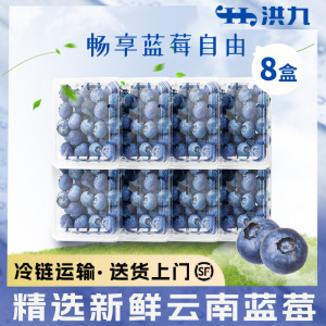 【8盒现发】云南新鲜蓝莓现摘当季水果鲜果 125g/盒大果整箱包邮