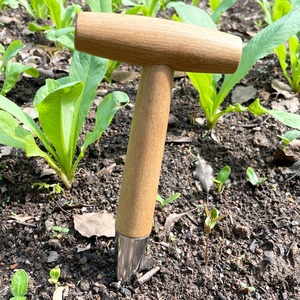 种菜播种打洞工具移苗追肥木柄育苗播籽器花园多肉种苗打孔器