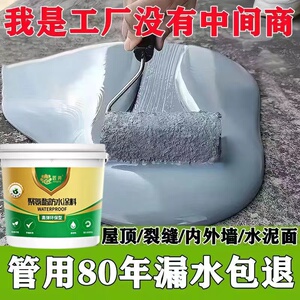 防水涂料屋顶漏水防水材料渗水补漏裂缝防水胶平房楼顶防水补漏王