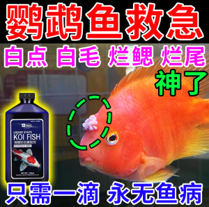 鹦鹉鱼专用药鹦鹉鱼白点病头洞水霉病长白毛烂鳍烂尾病消毒杀菌液