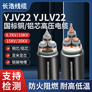 国标10KV35KV高压铝芯铜芯铠装YJLV22YJV223芯 50 70 120平方电缆