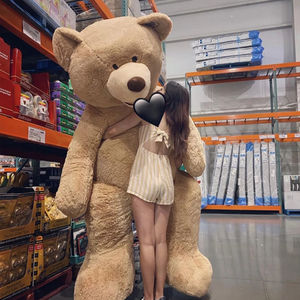 美国大熊公仔布娃娃泰迪熊抱抱熊2米5毛绒玩具送女友巨型大号玩偶