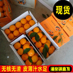 临海涌泉蜜桔新鲜橘子10斤高山当季水果整箱台州黄岩蜜橘6A