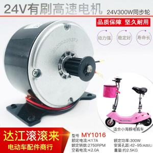 羚鹰小海豚同步轮电机24V300W高速电机电动车马达