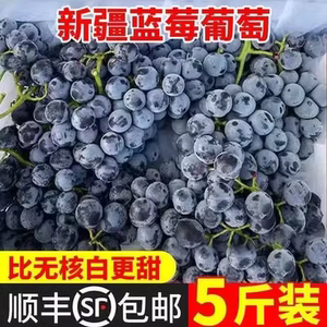 新疆花香蓝莓葡萄吐鲁番黑葡萄当季新鲜水果现摘酸甜多汁顺丰包邮
