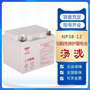 YUASA汤浅铅酸免维护蓄电池NP12V65AH38A100AH120AH机房UPS直流屏