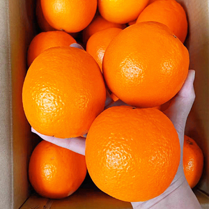 正宗赣南脐橙新鲜当季水果10斤赣州产地直发江西应现摘大橙子整箱