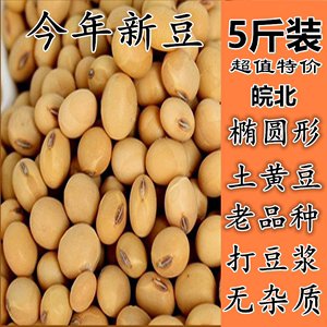 新黄豆100g-5斤农家自种土黄豆非转基因老品种椭圆形笨黄豆打豆浆