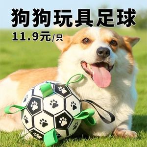 狗狗足球玩具亚马逊爆款轻质高弹大中小型犬新品宠物贝拉同款足球