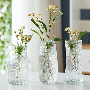 浮雕玻璃花瓶水养鲜花富贵竹花瓶ins高颜值北欧客厅桌面装饰摆件