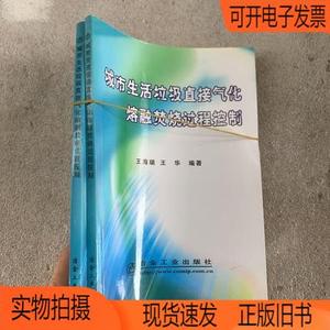 正版旧书丨城市生活垃圾直接气化熔融焚烧过程控制冶金工业出版社