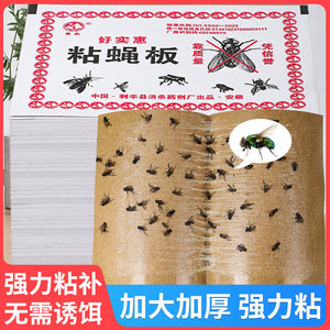苍蝇贴粘蝇纸强力粘蝇板神器杀手灭苍蝇蚊子克星捕捉器家用一扫光