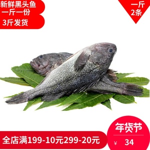 黑头鱼鲜活海鱼