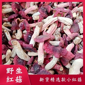野生红菇乾货一等品价非广西云南福建正宗红蘑菇菌菇类野生菌