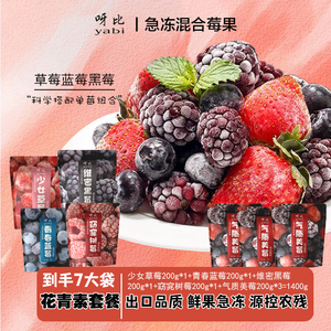 【专属】急冻混合莓果套餐蓝莓草莓黑莓树莓出口品质花青素套餐