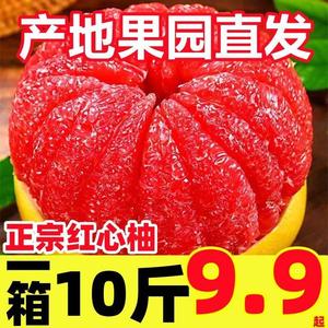 正宗福建平和红心蜜柚10斤柚子新鲜红心柚水果红肉三红管溪红柚子