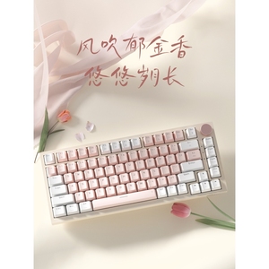 樱桃键盘机械键盘青红轴女生可爱粉色有线无线蓝牙三模CHERRY同款