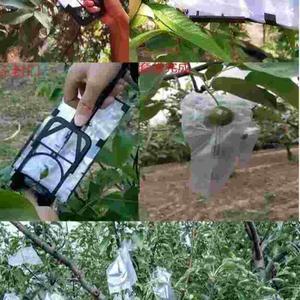 苹果（套袋机全自动苹果塑膜袋水果套袋苹果套袋机器苹果套袋机【