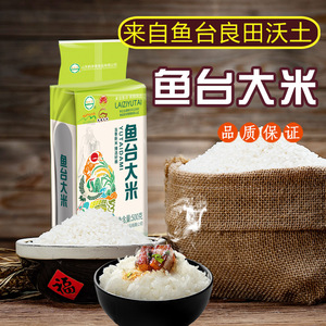 鱼台大米优质粳米新货新大米农家自产粒圆饱满米饭米粥香米真空装