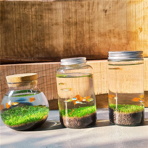 生态鱼瓶微观小鱼小虾生态瓶微景观森林微观鱼缸免打理玻璃瓶套装
